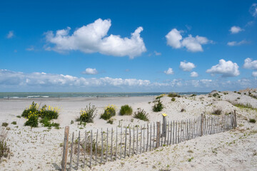 Marker Wadden, Flevoland province, The Netherlands 