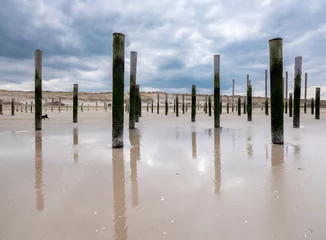 Deurstickers Beach near Petten, Noord-Holland province, The Netherlands  © Holland-PhotostockNL