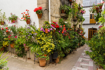 Fototapeta na wymiar macetas de flores en la calle, Iznatoraf, Loma de Ubeda, provincia de Jaén en la comarca de las Villas, spain, europe