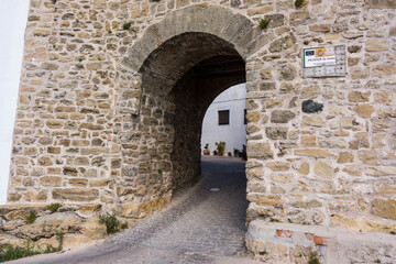 Fototapeta na wymiar olivos, Iznatoraf, Loma de Ubeda, provincia de Jaén en la comarca de las Villas, spain, europe