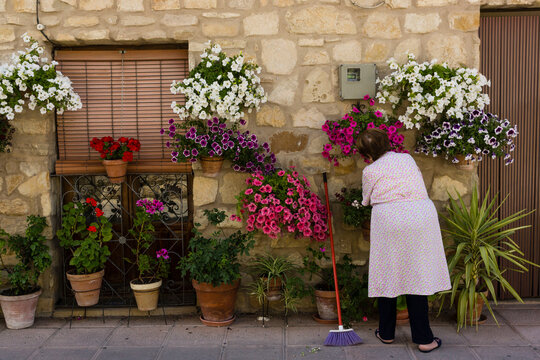 macetas de flores en la calle, Iznatoraf, Loma de Ubeda, provincia de Ja&eacute;n en la comarca de las Villas, spain, europe