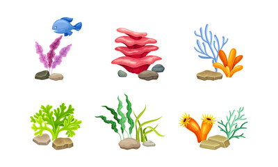 Sea Coral and Algae Growing on the Ocean Bottom Vector Composition Set