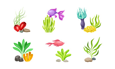 Sea Coral and Algae Growing on the Ocean Bottom Vector Composition Set