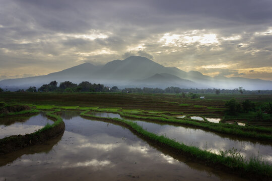 Beautiful morning view in Indonesia. Panorama of the village with reflection in the rice fields
