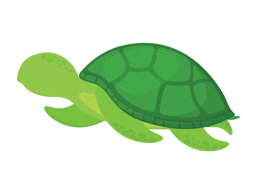 Hand Drawn Faceless Turtle Icon Clipart Cartoon Vector for Sea Animal Collection Animated Image