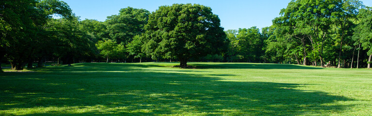 green park