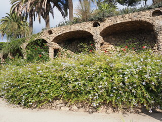 Tropical park guell of european city of Barcelona in Spain