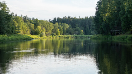 Fototapeta na wymiar calm river with reflections of trees in the water in bright green foliage in summer in the forest near Strenciem, Latvia. Gauja river in the evening sun.