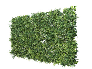 Vertical garden on transparent background