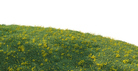 Meadows in coniferous forests on a transparent background.