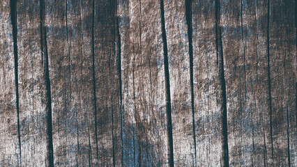Fototapeta premium unique wood textures