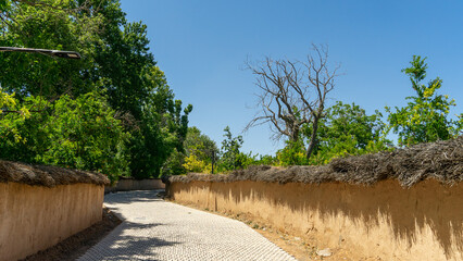 outdoors avenue in shiraz in Iran