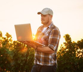 Farmer typing on a laptop outdoors using the internet to plan a harvest and crop growth on a...