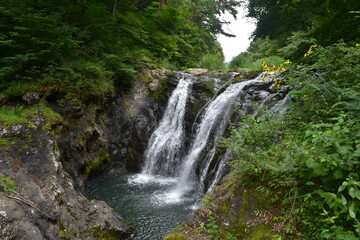 Fototapeta na wymiar 多留姫の滝
