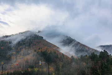 Fototapeta na wymiar 朝露と紅葉した層雲峡「秋の北海道」