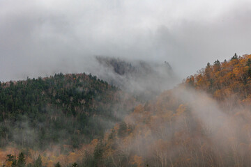 朝露と紅葉した層雲峡「秋の北海道」