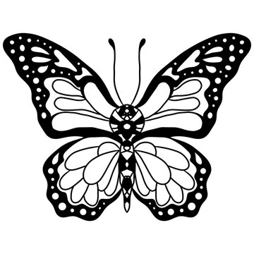 Isolated black line butterfly for tattoo, coloring book for adult and kids