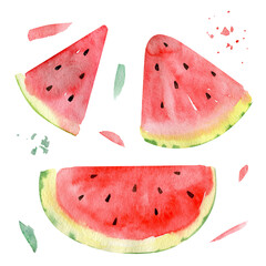 Set of watercolor illustrations: watermelon, watermelon slices, - hand-drawn in watercolor. Sketch style illustration of juicy, ripe watermelon isolated on white background. Tropical fruits clipart.