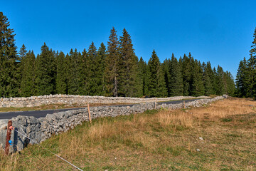 reclaimed stone wall and asphalt road in the Swiss Jura