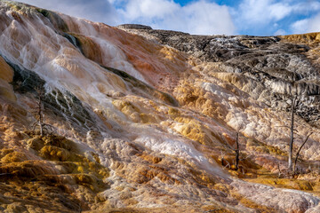 Mammoth Hot Springs in Yellowstone National Park