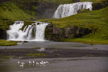Obraz premium View at Kirkjufell waterfall at Grundarfjordur in Iceland