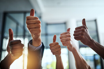 Diverse group of successful businesspeople approving and giving thumbs up for satisfaction and job well done. Corporate team of cheerful colleagues using their hands to say yes showing agreement - Powered by Adobe