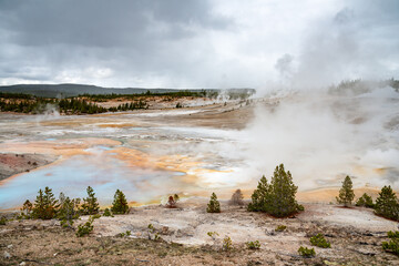 Norris Geyser Basin in Yellowstone National Park