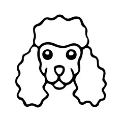 Doodle poodle dog head. Hand drawn vector illustration isolated on white background