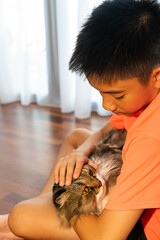 Young asian boy holds in his arms a brown white mix persian cat