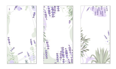 Fototapeta Abstract floral background, social media stories template with lavender plant. Elegant herbs and shapes, pastel colors. Space for text. obraz