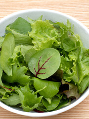 ベビーリーフのサラダ