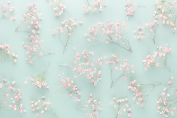 Beautiful flower background of pink gypsophila flowers. Flat lay, top view. Floral pattern.