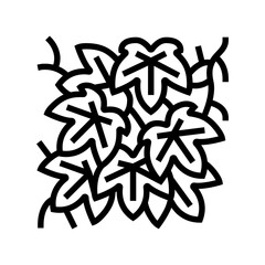 boston ivy line icon vector. boston ivy sign. isolated contour symbol black illustration
