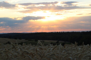 Abendstimmung