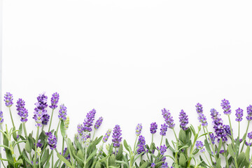 Flowers composition, frame made of lavender flowers on pastel background. - obrazy, fototapety, plakaty