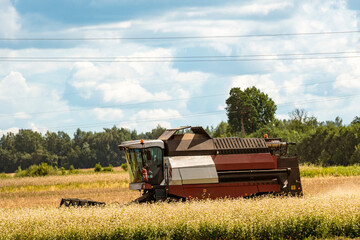 Working Harvesting Combine in the Field