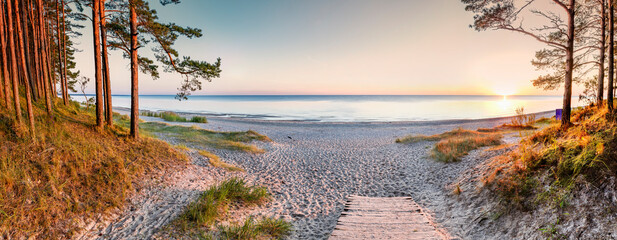 Panoramic view. Sandy beach and forest dune area of the Baltic Sea. Concept of happy, bliss and...