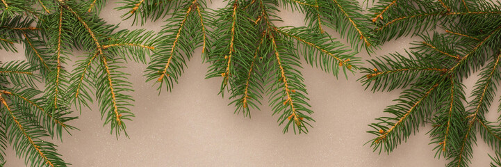 Merry Christmas and Happy New Year banner, spruce branches on powdery background, top view, copy space
