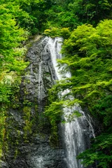 Foto op Canvas 納涼シーズンの箕面大滝（大阪府箕面市） © WAWA
