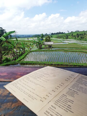 Jatiluwih rice terrace at Tabanan regency of Bali Indonesia