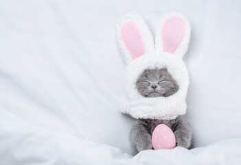 Happy kitten wearing easter rabbits ears sleeps with painted egg on a bed under warm white blanket at home. Top down view. Empty space for text