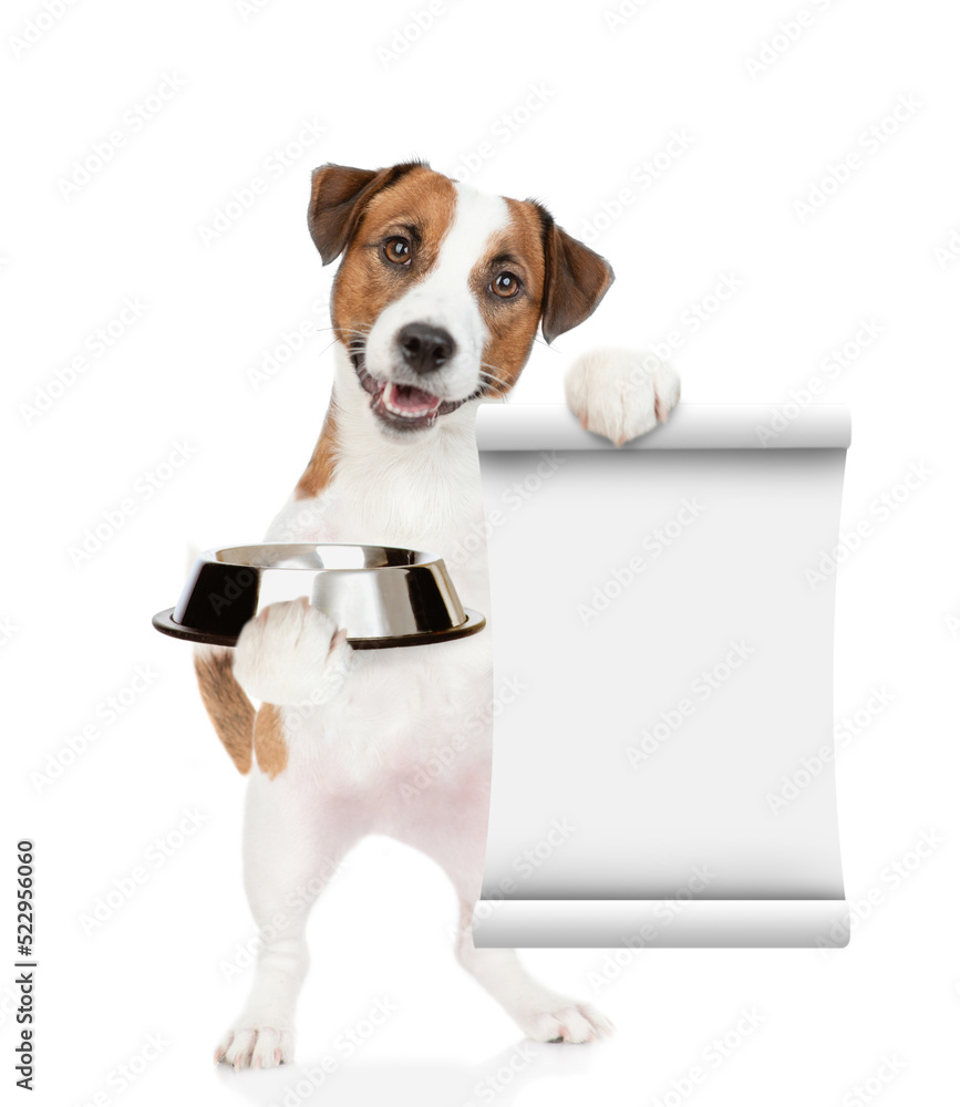 Poster hungry jack russell terrier puppy holds empty bowl and shows empty list. isolated on white backgroun