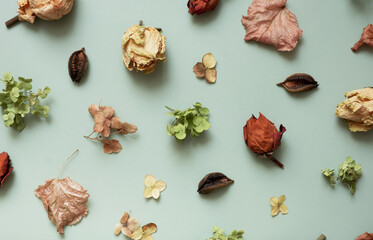Autumn pattern with dry leaves, hydrangea flowers, roses on orange colored background. Top view, flat lay, copy space