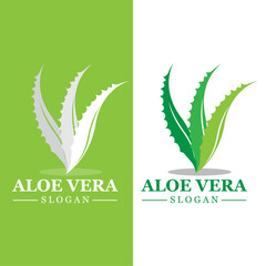 Green plant aloe vera logo vector icon symbol many benefits