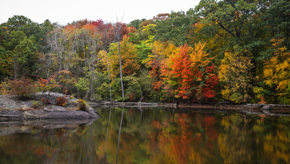 Autumn colors reflecting in a pond