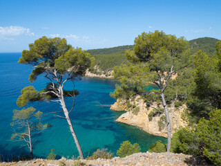 Bandol, France - May 16th 2022: Small rocky bays under pine forests in front of the deep blue sea.