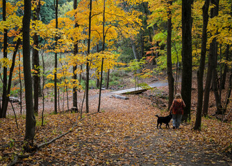 Woman walks dog in autumn woods