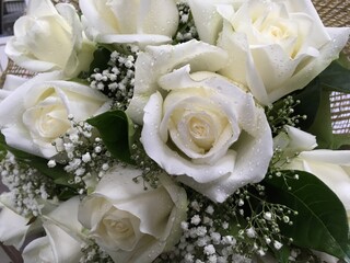 Bouquet of white roses