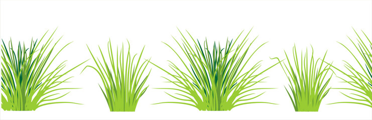 Grass bushes seamless pattern. Grass and Bushes outdoor landscape elements. Isolated element for design, landscape nature illustration.