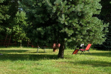 A red sunbed on the grass in the garden in the summer